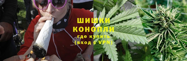 спайс Арсеньев