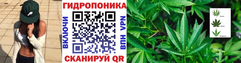 как найти закладки  сайты даркнета Telegram  Шишки марихуана гибрид  Краснодар 